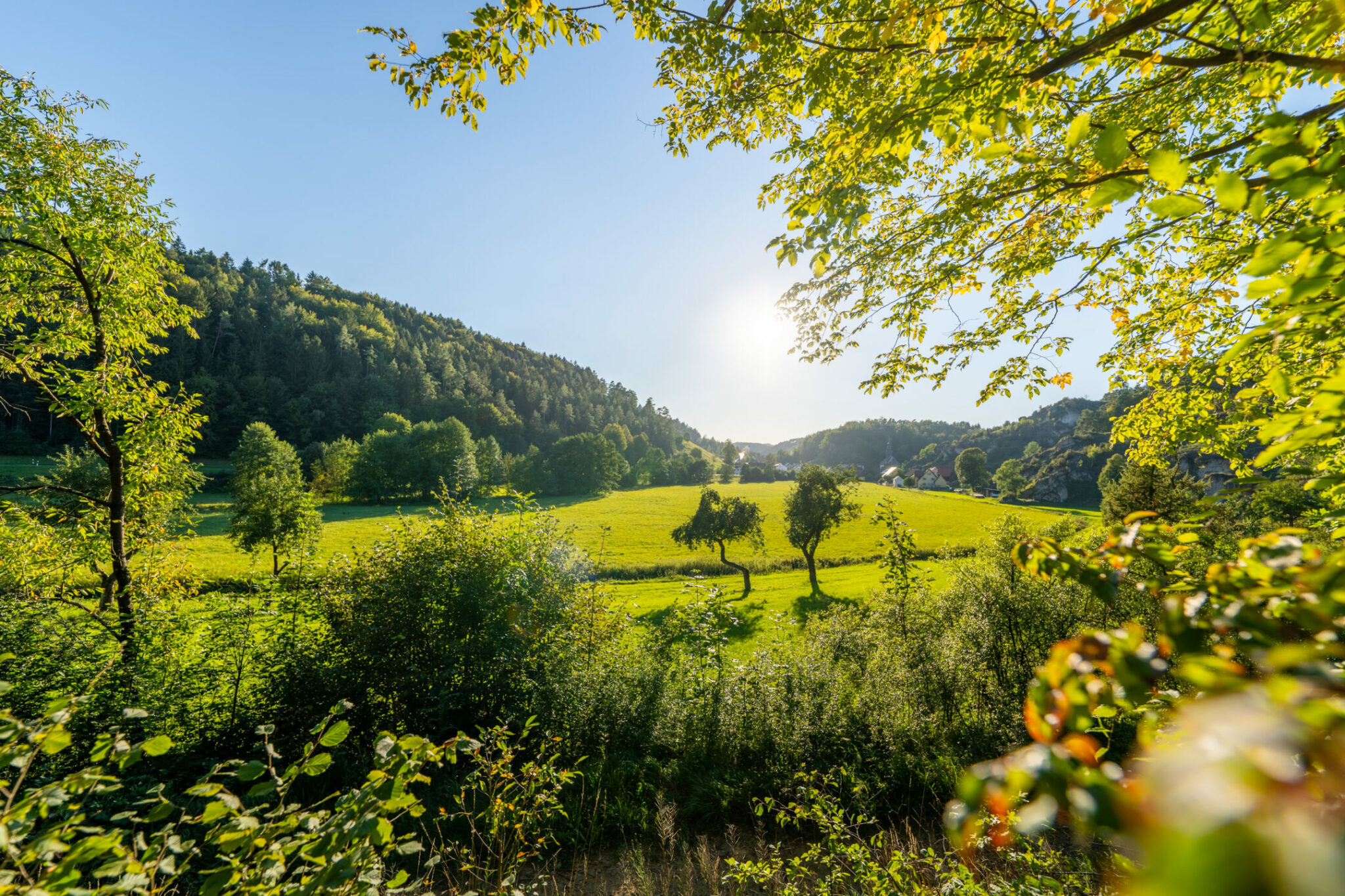 Mitteilungsblatt Ahorntal